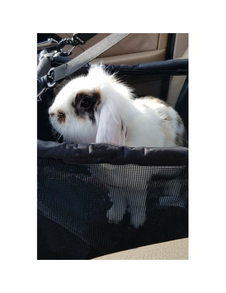 Purlov 20973 sėdimas šunų vežimėlis