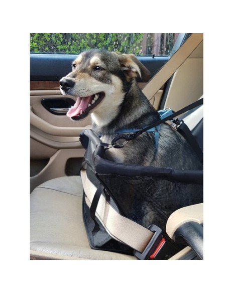 Purlov 20973 sėdimas šunų vežimėlis