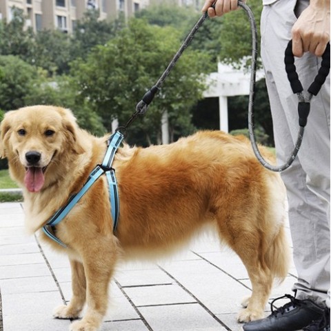 Šviesą atspindintis treniruočių pavadėlis 3m Purlov 21654