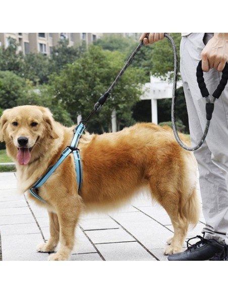 Šviesą atspindintis treniruočių pavadėlis 3m Purlov 21654