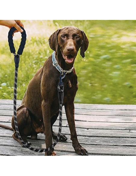 Šviesą atspindintis treniruočių pavadėlis 3m Purlov 21654