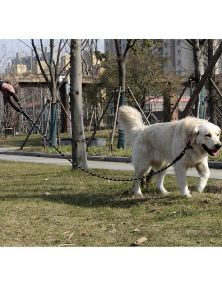 Šviesą atspindintis treniruočių pavadėlis 5m Purlov 21655