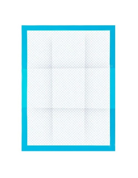 Higieninis įklotas 60x40cm 100 vnt. Purlovas 21599