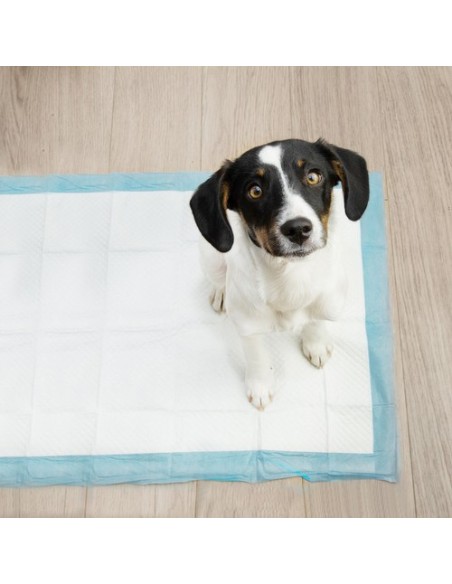 Higieninis įklotas 60x40cm 100 vnt. Purlovas 21599