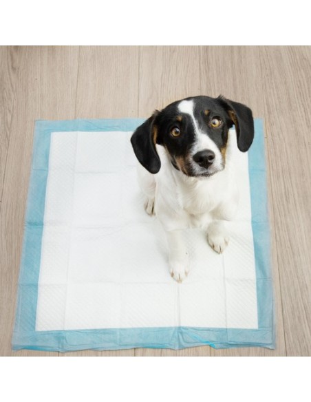 Higieninis įklotas 60x60cm 50 vnt. Purlovas 21600