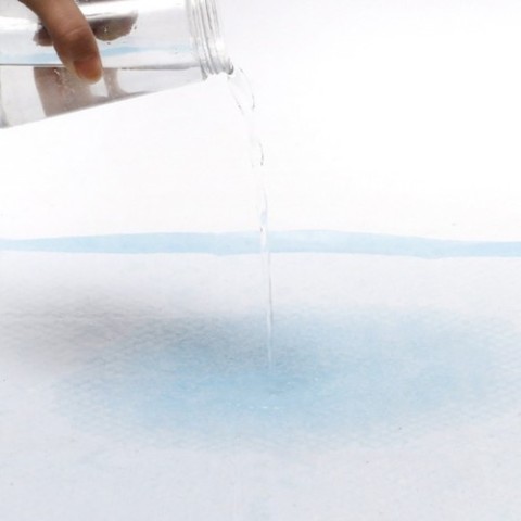 Higieninis įklotas 60x60cm 100 vnt. Purlovas 21601