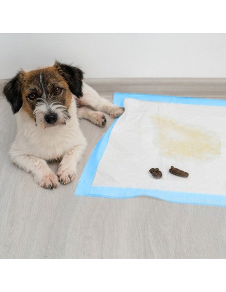 Higieninis įklotas 60x60cm 100 vnt. Purlovas 21601