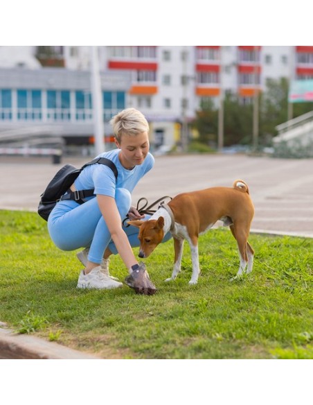 Higieninis įklotas 60x60cm 100 vnt. Purlovas 21601