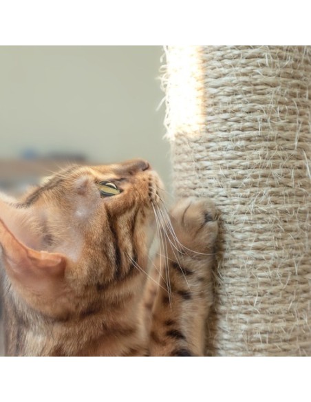 Katės medis 71cm pilkas Purlov 21712