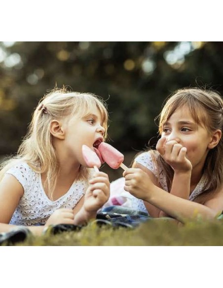 Ruhhy 20990 silikoninė ledų forma