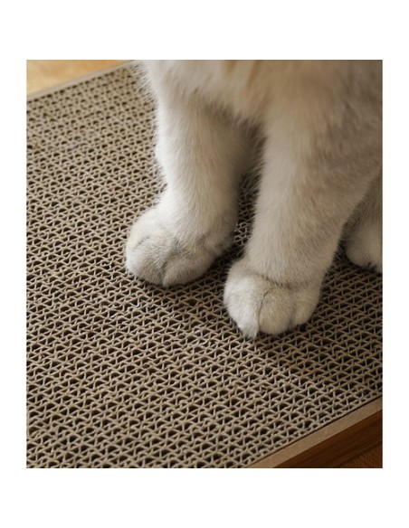 Kampinis kačių draskytuvas Purlov 22008 m