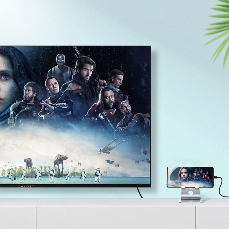 C tipo USB laidas – HDMI 4K 30Hz 3m juodas