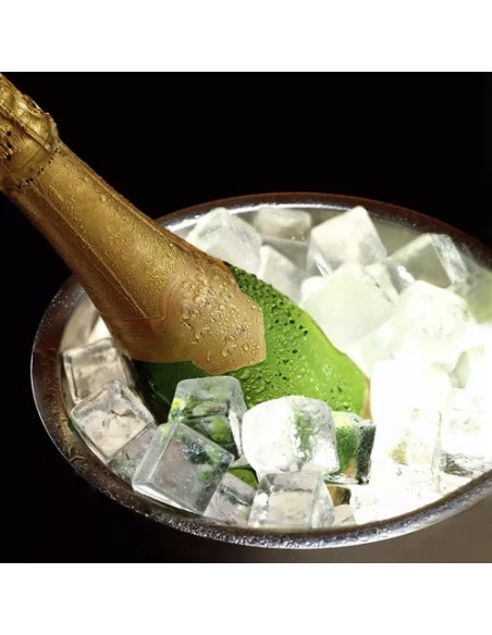 Ledo kibiras - žnyplės + šaukštas Ruhhy 21159