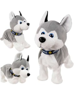 PI4477 interaktyvus šuo