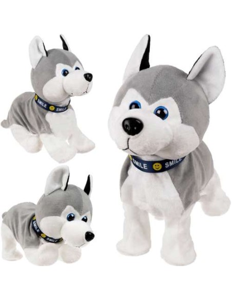 PI4477 interaktyvus šuo