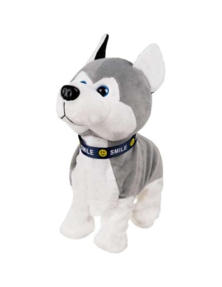 PI4477 interaktyvus šuo