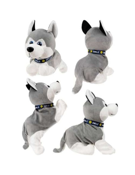 PI4477 interaktyvus šuo