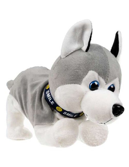 PI4477 interaktyvus šuo