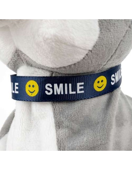 PI4477 interaktyvus šuo