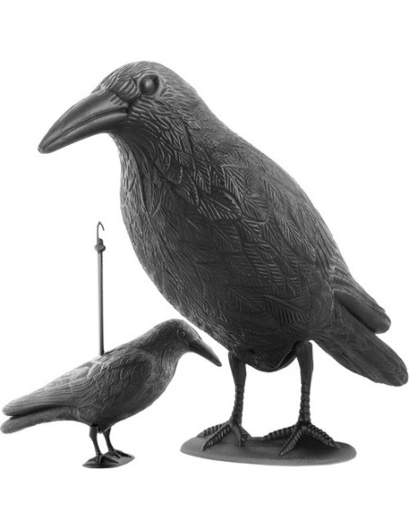 Paukščių repelentas – varnas