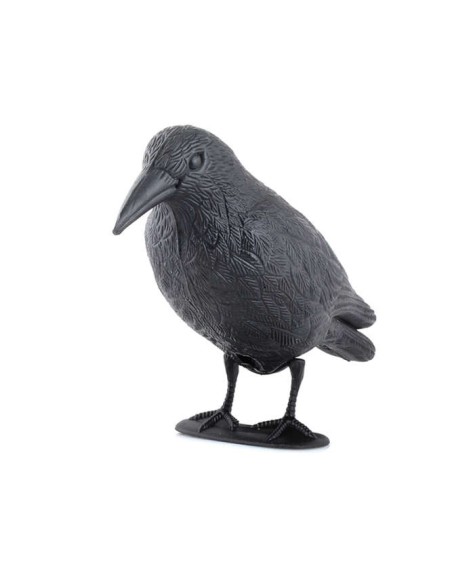 Paukščių repelentas – varnas