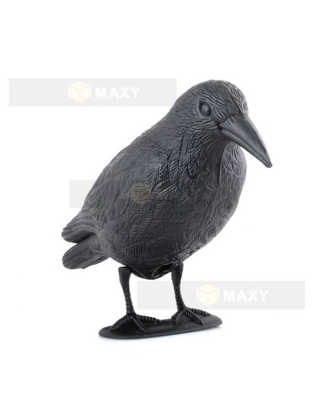 Paukščių repelentas – varnas