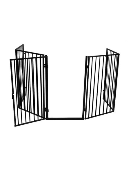 Pagrindiniai židinio vartai BK-2961