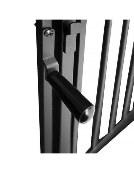 Pagrindiniai židinio vartai BK-2961