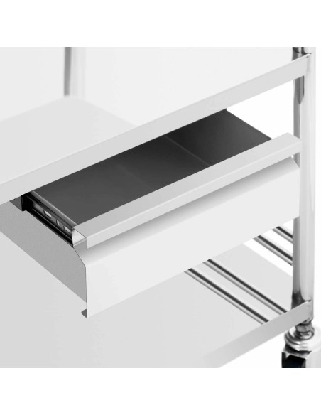 Kosmetinio gydymo laboratorinis vežimėlis STEEL 3 lentynos 1 stalčius 49 x 36 x 85 cm 30 kg Kosmetinio gydymo laboratorinis vežimėlis STEEL 3 lentynos 1 stalčius 49 x 36 x 85 cm 30 kg