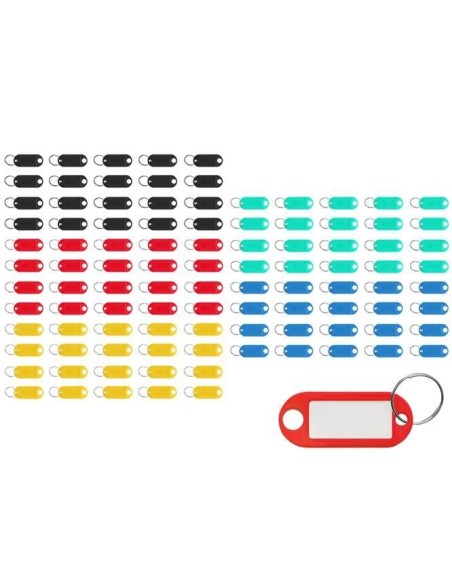 Raktų pakabuko/ rakto ID rinkinys 100 vnt