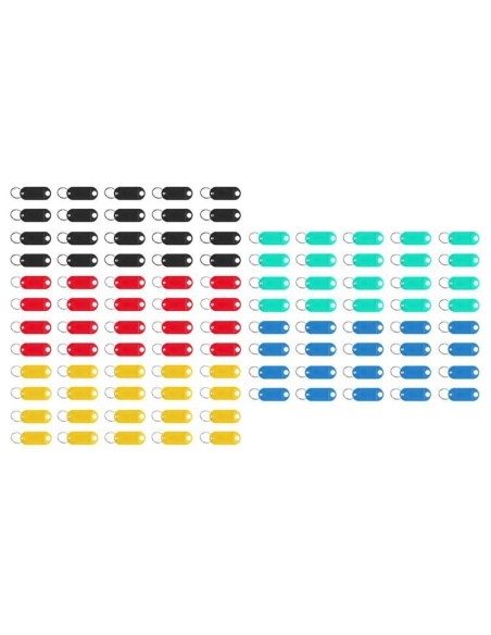 Raktų pakabuko/ rakto ID rinkinys 100 vnt