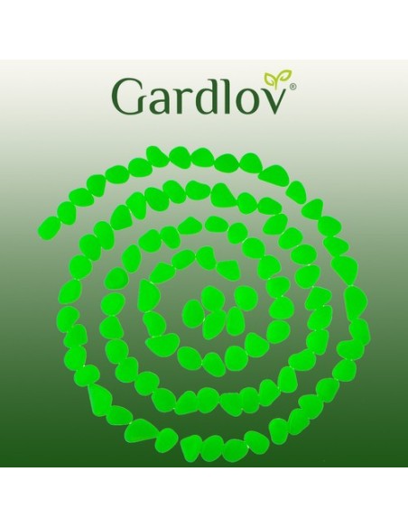 Švytintys akmenukai - 100 žalių rinkinys