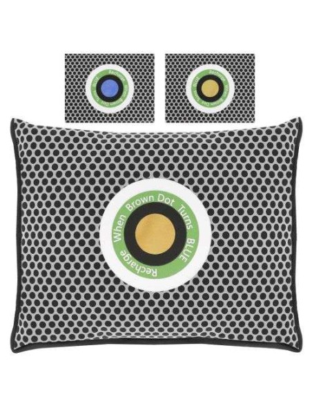 Sausintuvas - drėgmės sugėriklis automobiliui