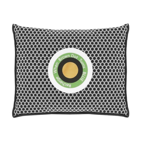 Sausintuvas - drėgmės sugėriklis automobiliui