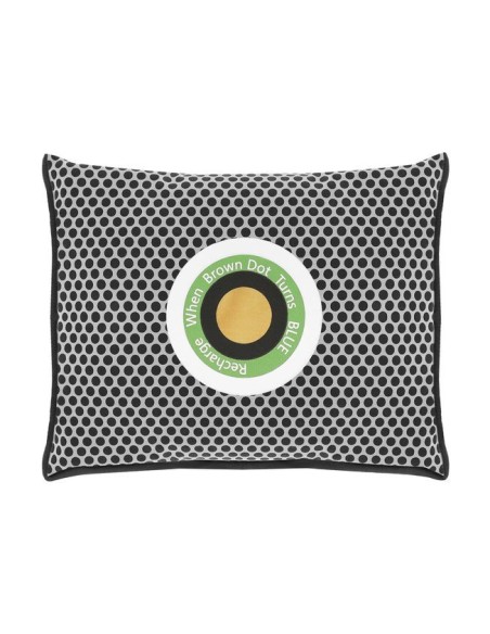 Sausintuvas - drėgmės sugėriklis automobiliui