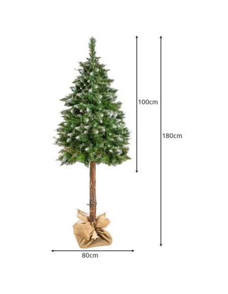 Kalėdų eglutė ant kamieno - deimantinė pušis, 180 cm