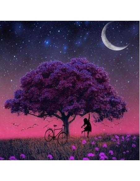 Deimantų siuvinėjimo mozaika H16137