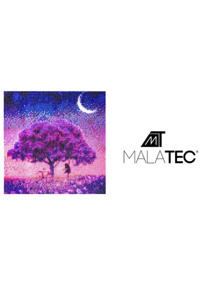 Deimantų siuvinėjimo mozaika H16137