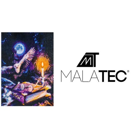 Deimantų siuvinėjimo mozaika H16217