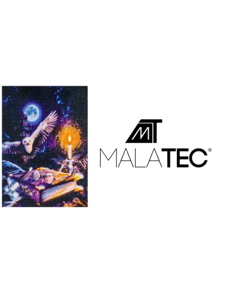 Deimantų siuvinėjimo mozaika H16217