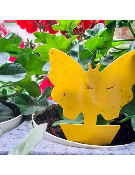 Vabzdžių lazdelė - 12 vnt. Repet 19053