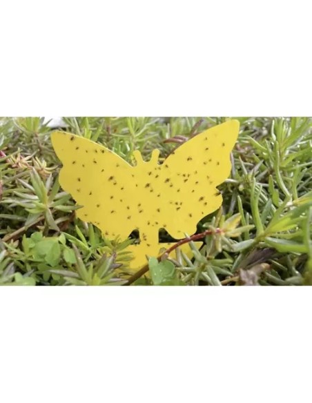 Vabzdžių lazdelė - 12 vnt. Repet 19053