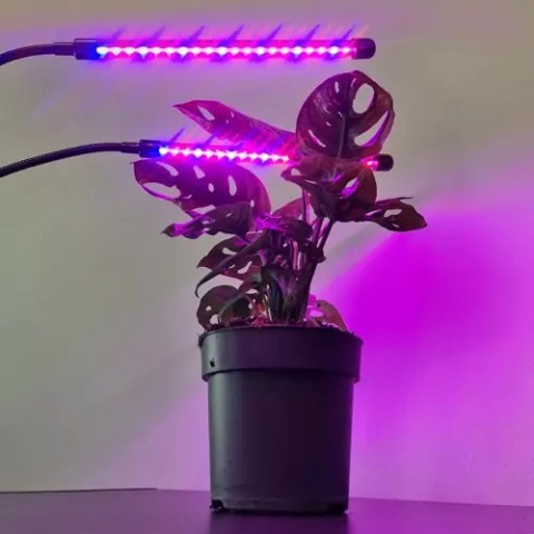 Lempa 20 LED 2vnt. augalų augimui Gardlovas 19241 m