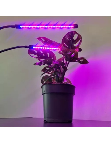 Lempa 20 LED 2vnt. augalų augimui Gardlovas 19241 m