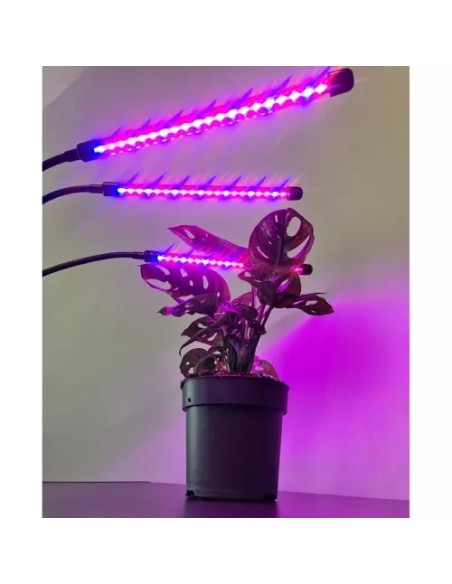 Lempa 20 LED 3 vnt. augalų augimui Gardlovas 19242 m