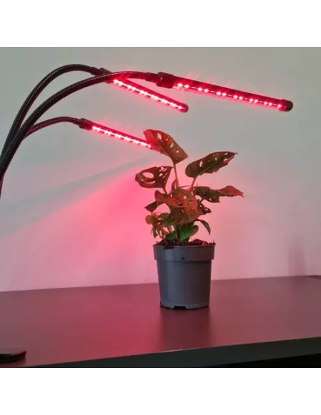 Lempa 20 LED 3 vnt. augalų augimui Gardlovas 19242 m