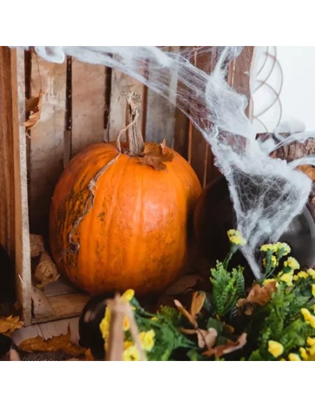 Dirbtinis voratinklis + 2 vorai Malatec 19759