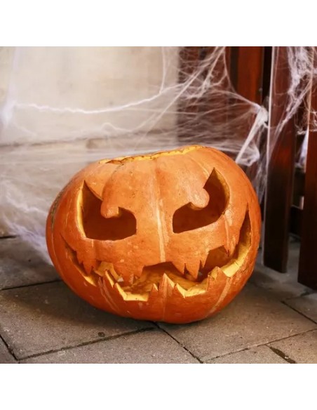 Dirbtinis voratinklis + 2 vorai Malatec 19759