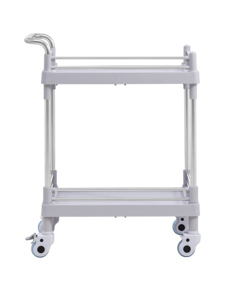 Kosmetinių procedūrų laboratorinis vežimėlis su 2 lentynomis 71 x 43 x 91 cm Kosmetinių procedūrų laboratorinis vežimėlis su 2 lentynomis 71 x 43 x 91 cm