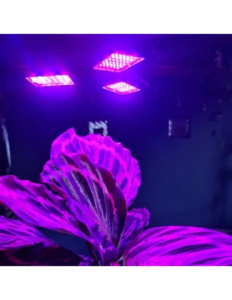 Gardlov 20440 108 LED augalų augimo lempa